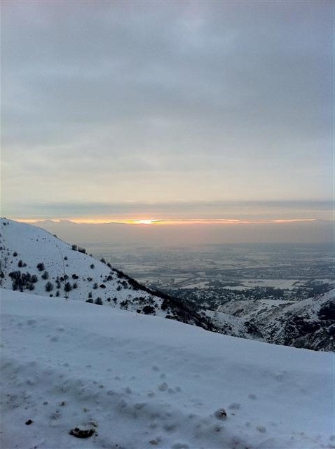 IMG 0065
