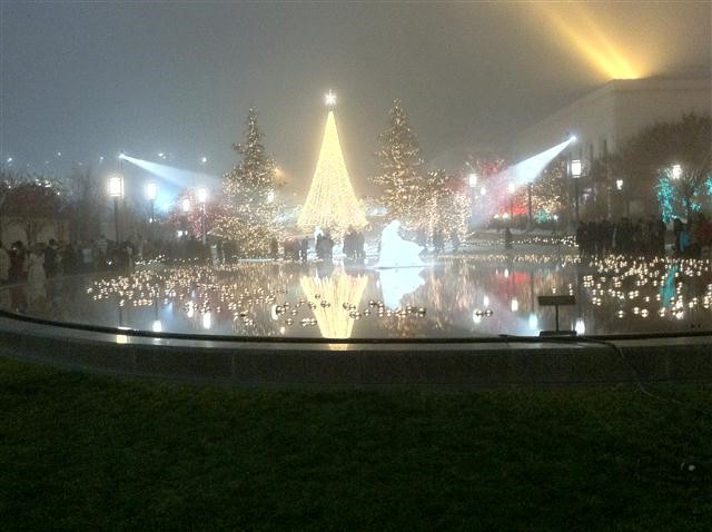 IMG 0110