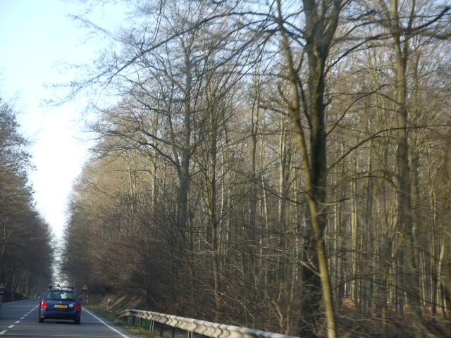 P1020270