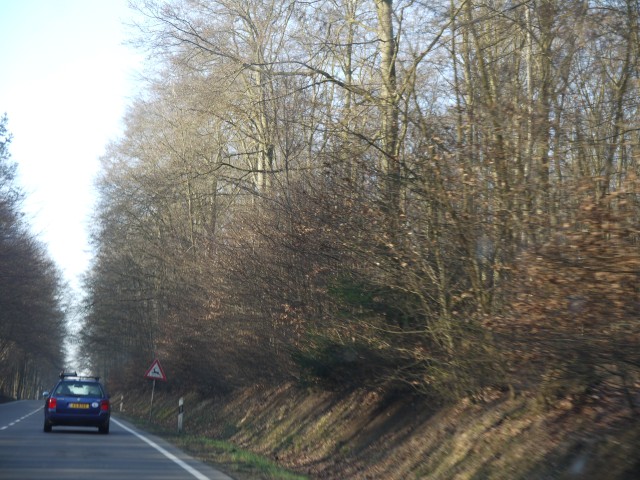 P1020271