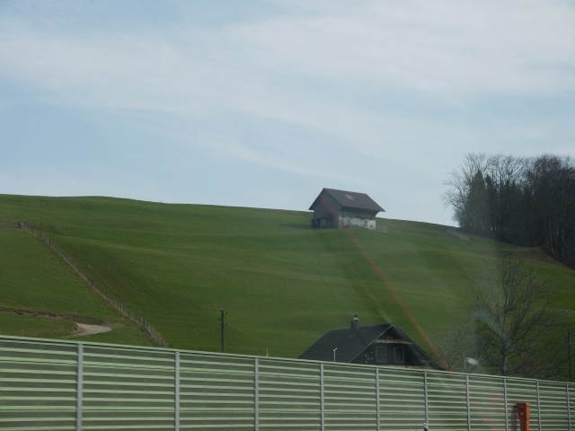 P1020428