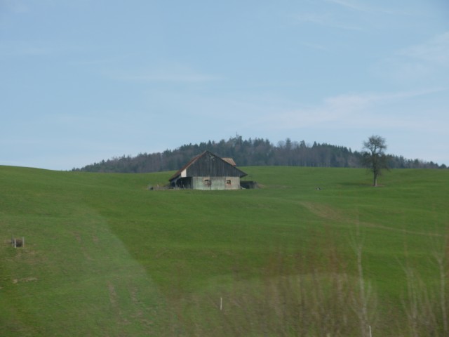 P1020431