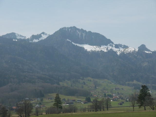 P1020445