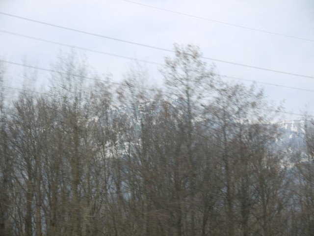 P1020529