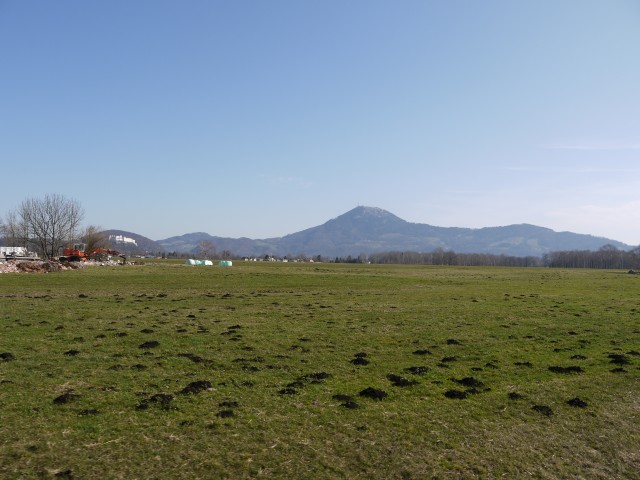 P1020913
