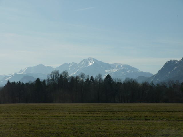 P1020921