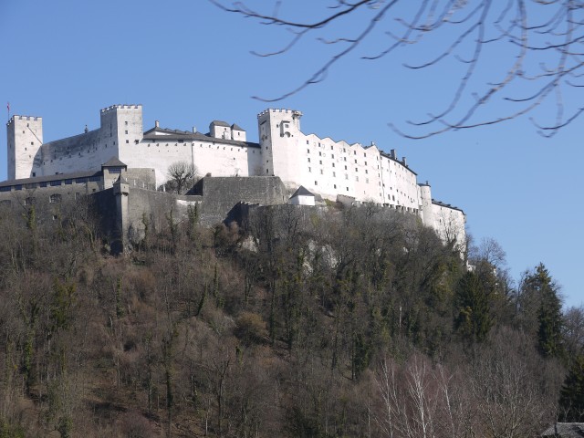 P1020948