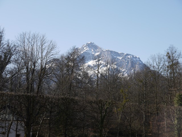 P1020967
