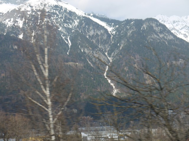 P1030131