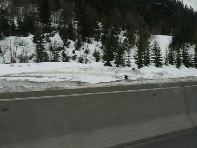 P1030173