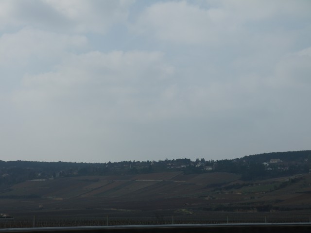 P1030649