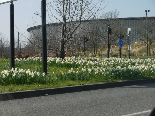 P1030761