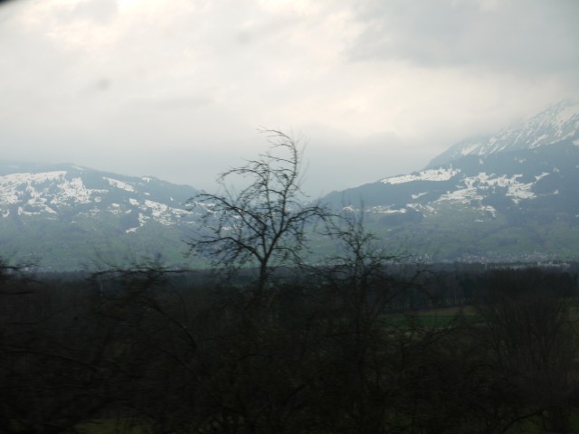 P1030236