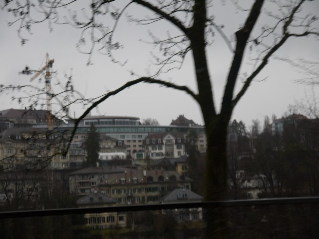 P1030392