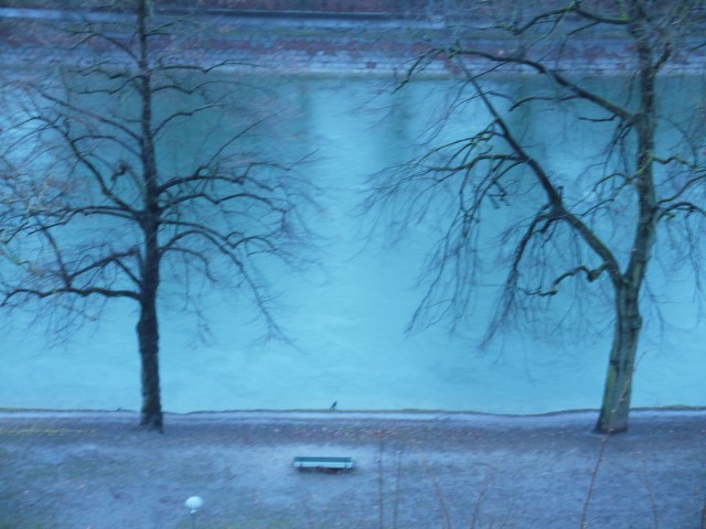 P1030501