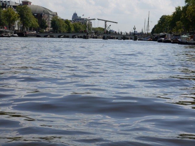 P1040905