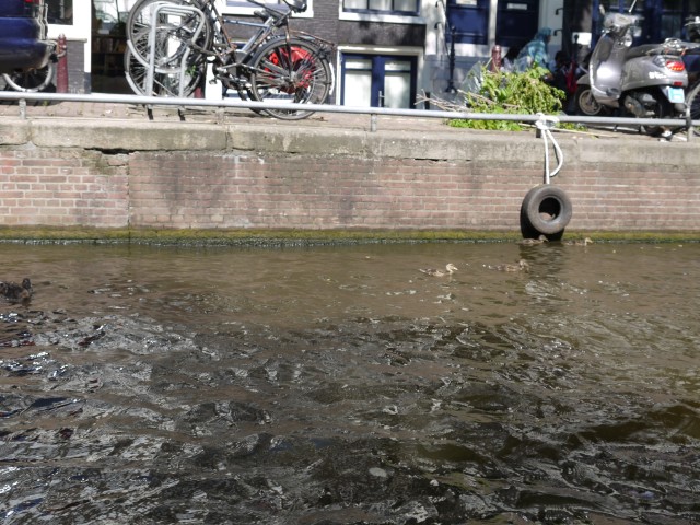 P1040946