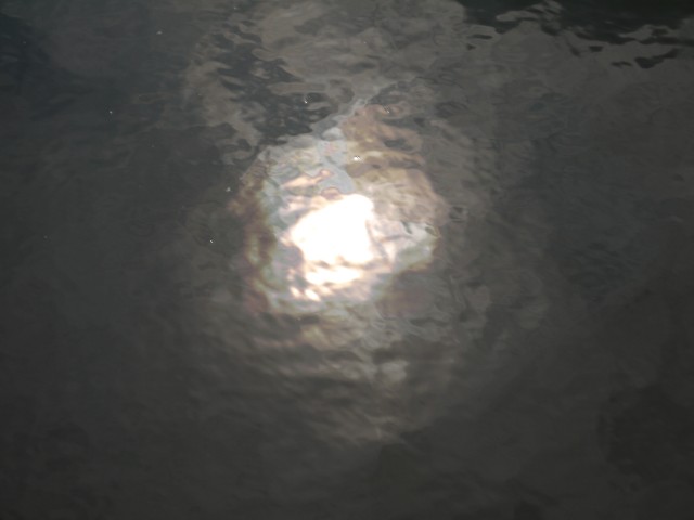 P1050031