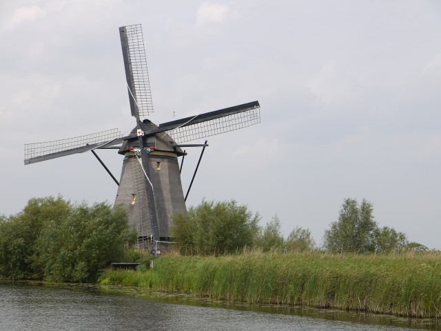 P1050042