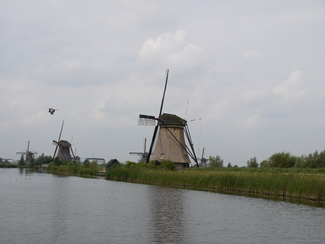 P1050046