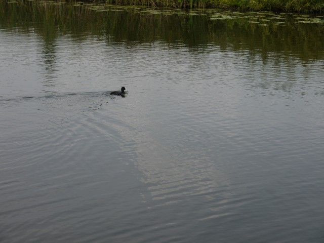 P1050051