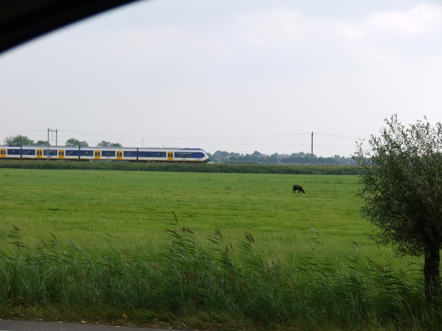 P1050071