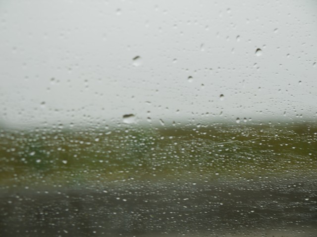 P1050198