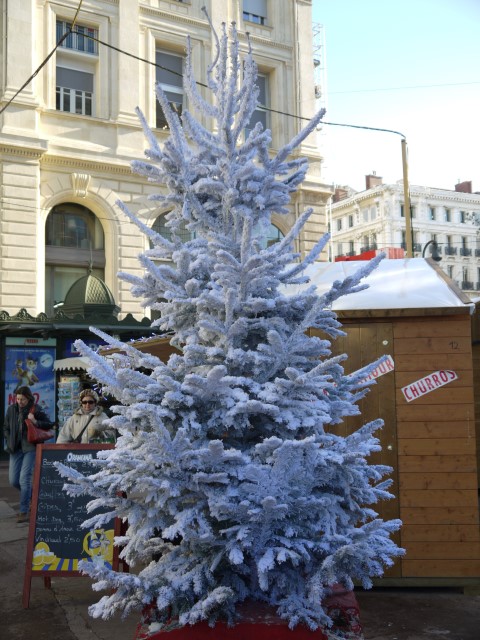 P1060941