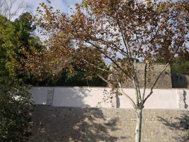 P1070035