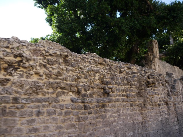 P1070437