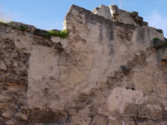 P1070439