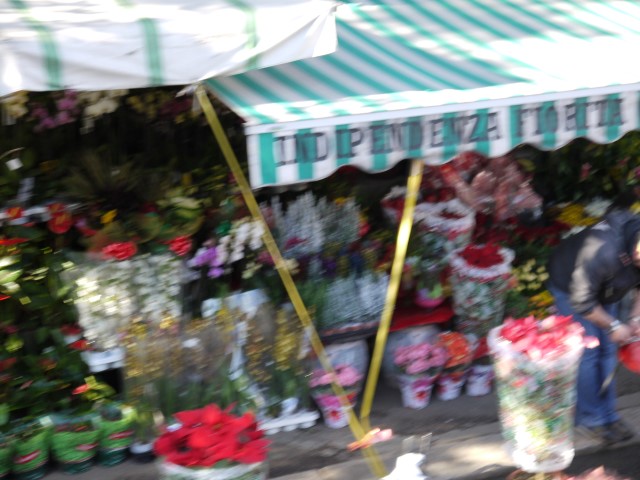 P1070444