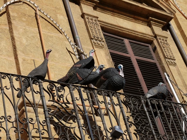P1070484