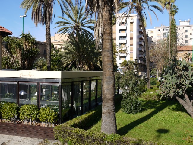P1070526