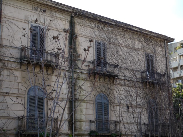 P1070547