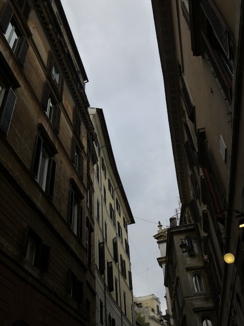P1070929