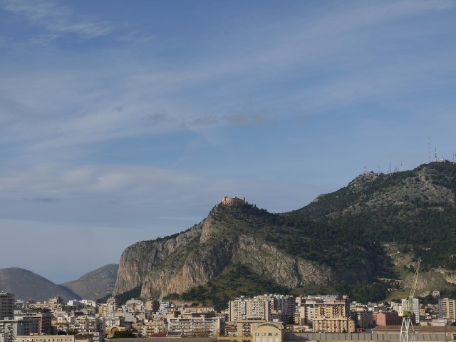 P1070631
