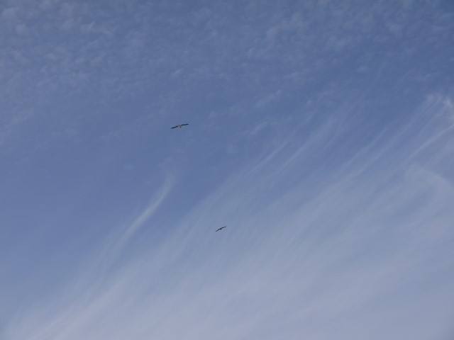 P1070666