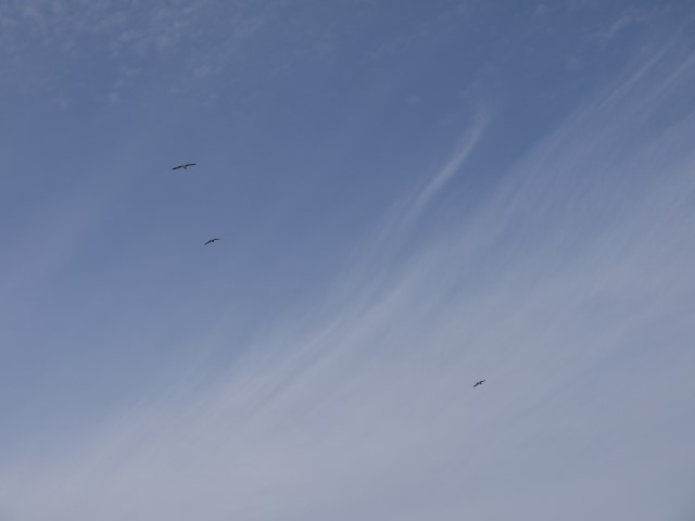 P1070667