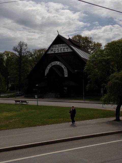 IMG 3641