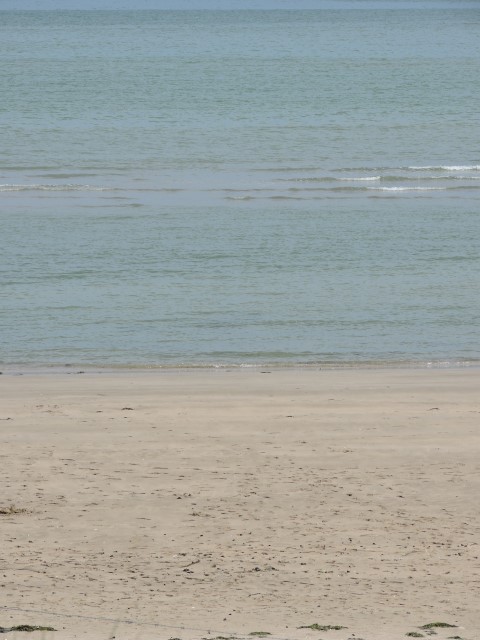 DSCN0696