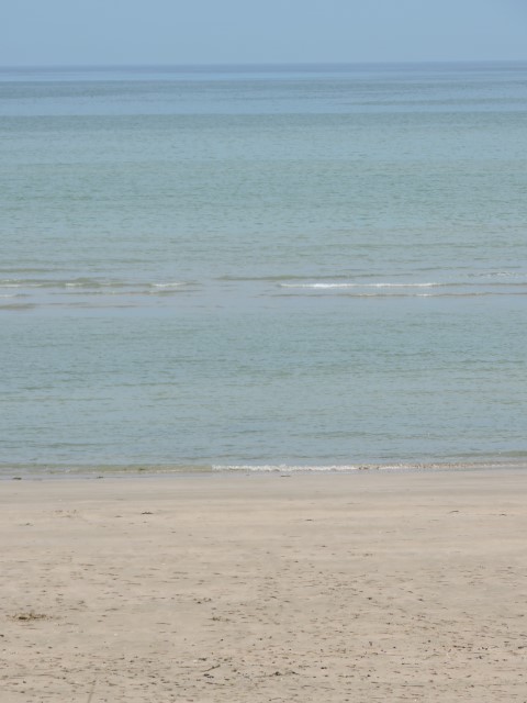 DSCN0697