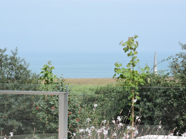 DSCN0777