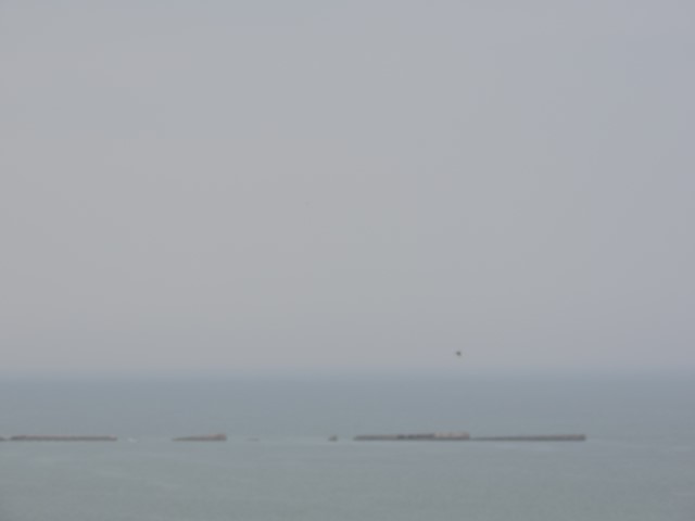 DSCN0916