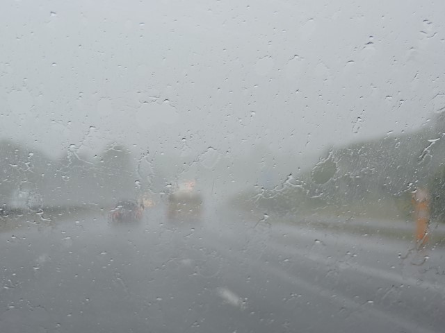 DSCN0981