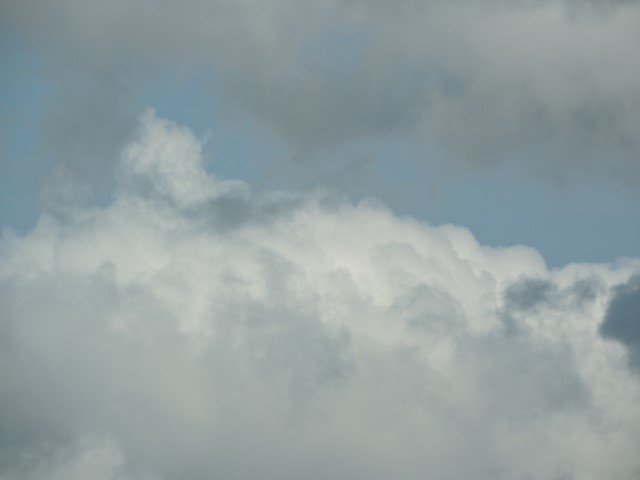 DSCN0993