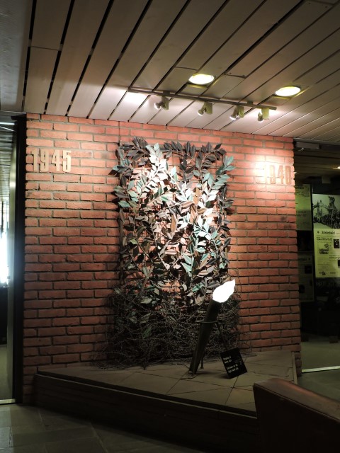 DSCN1085