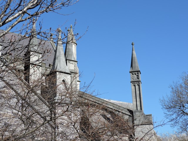 DSCN1537