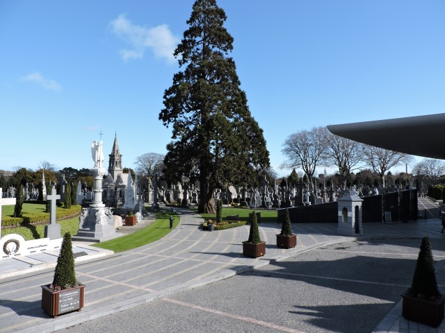 DSCN1552