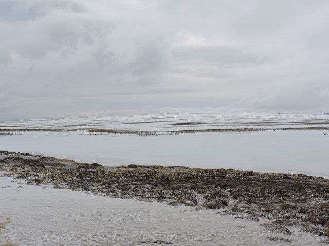 DSCN1650
